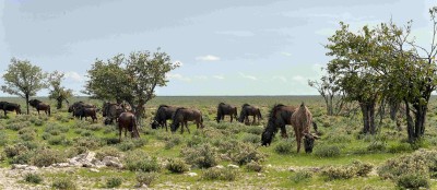 Namibia