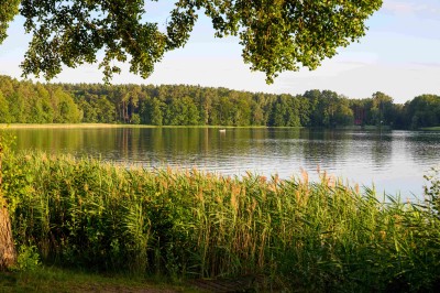 Seenplatte
