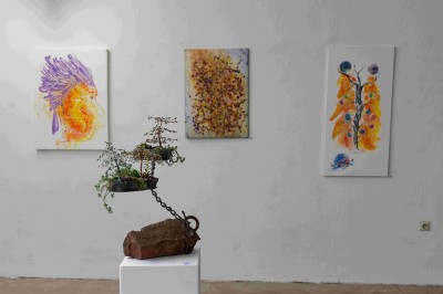 Bild