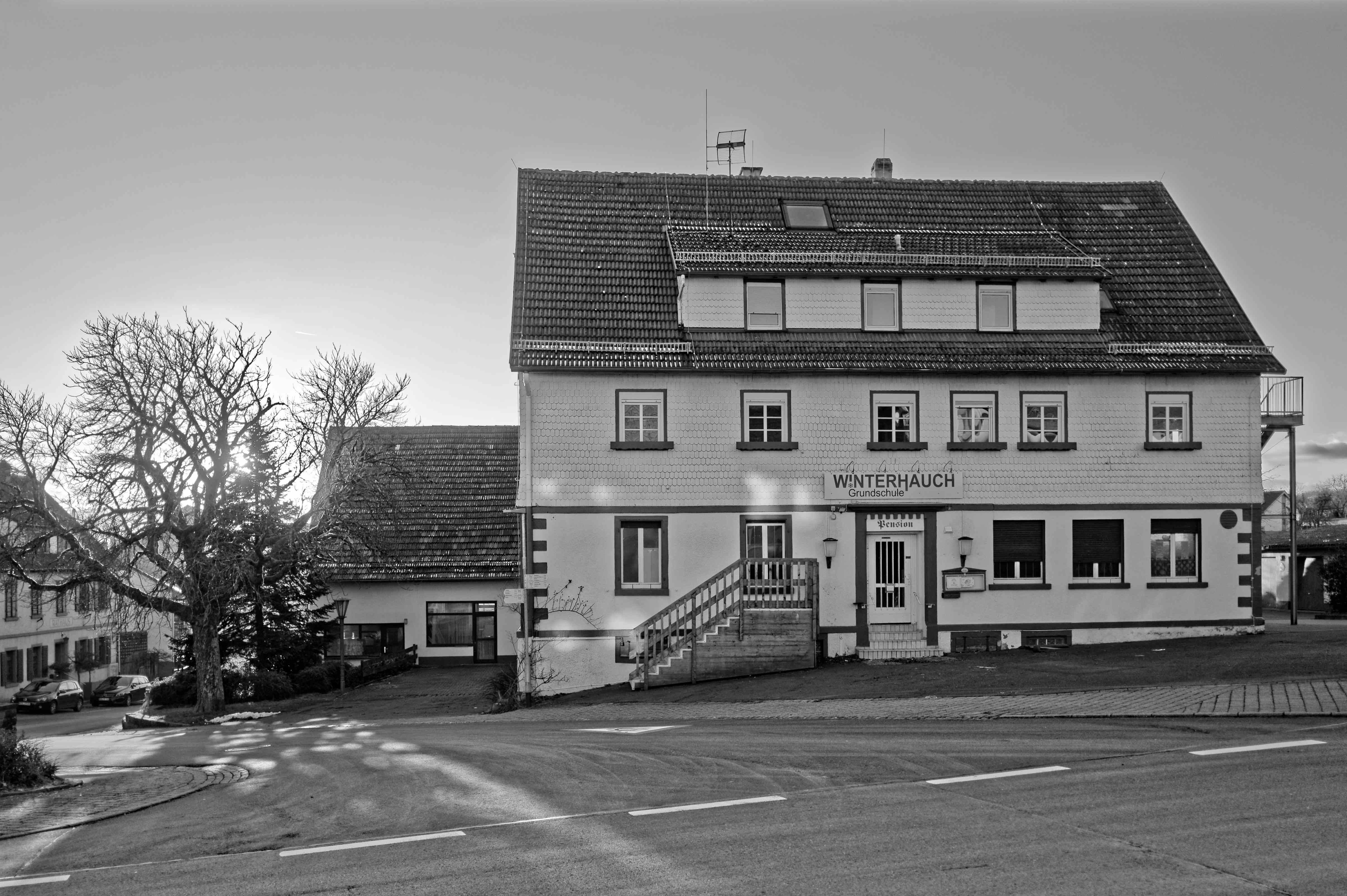 Bild